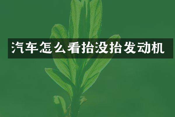 汽车怎么看抬没抬发动机