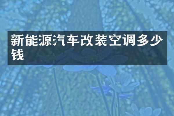 新能源汽车改装空调多少钱