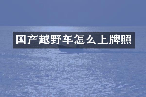 国产越野车怎么上牌照