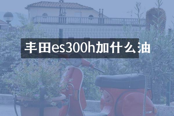丰田es300h加什么油