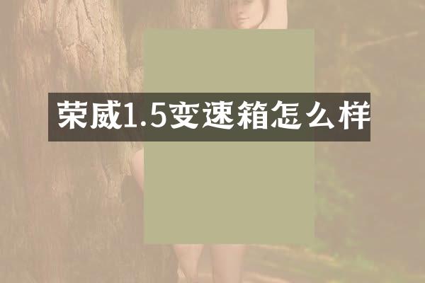 荣威1.5变速箱怎么样