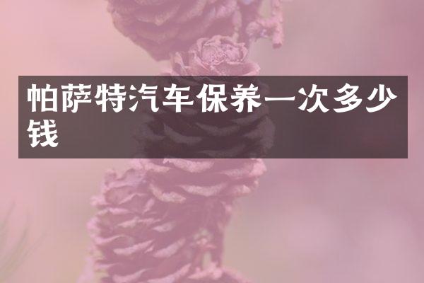 帕萨特汽车保养一次多少钱