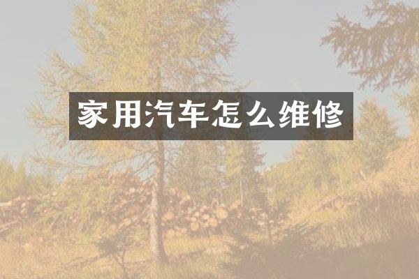 家用汽车怎么维修