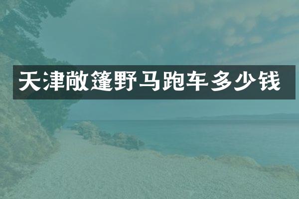 天津敞篷野马跑车多少钱