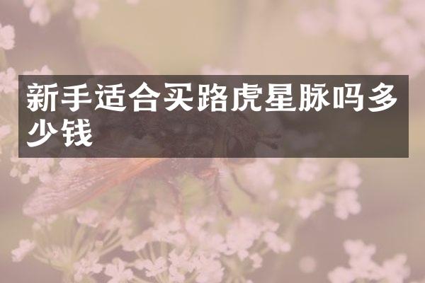 新手适合买路虎星脉吗多少钱
