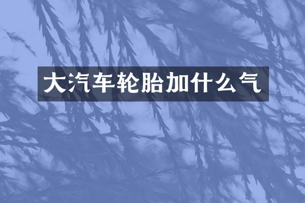 大汽车轮胎加什么气