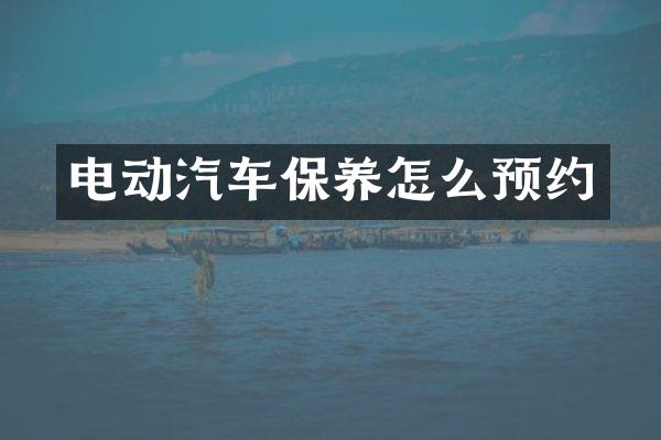 电动汽车保养怎么预约