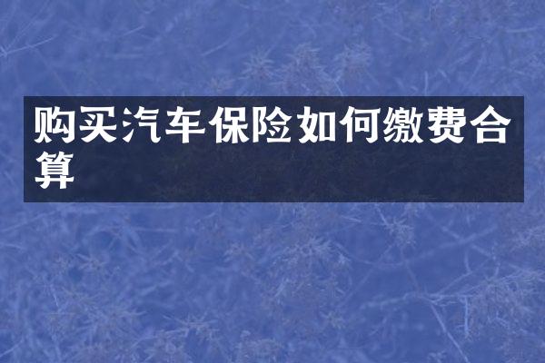 购买汽车保险如何缴费合算