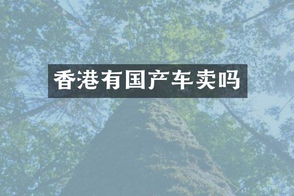 香港有国产车卖吗