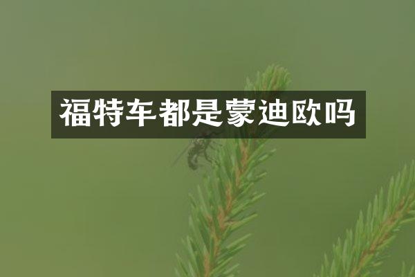 福特车都是蒙迪欧吗