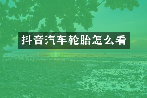 抖音汽车轮胎怎么看