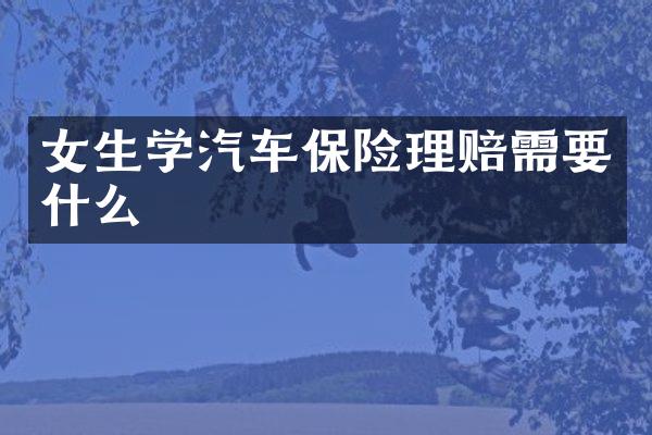 女生学汽车保险理赔需要什么