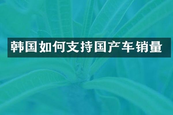 韩国如何支持国产车销量
