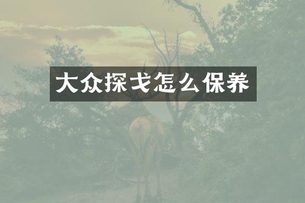 大众探戈怎么保养