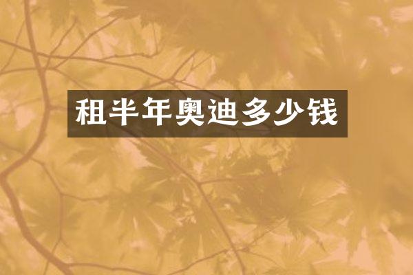 租半年奥迪多少钱