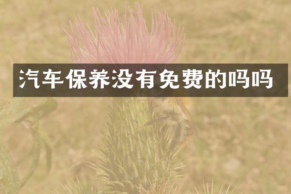 汽车保养没有免费的吗吗