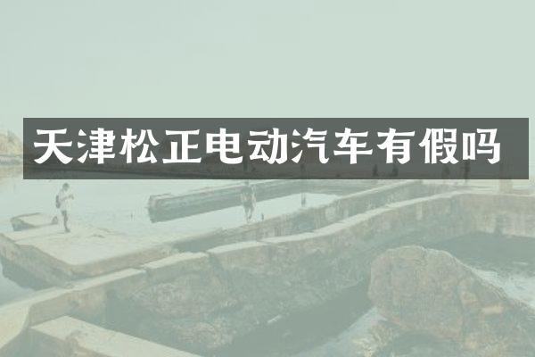 天津松正电动汽车有假吗