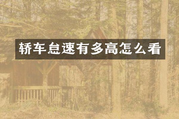 轿车怠速有多高怎么看