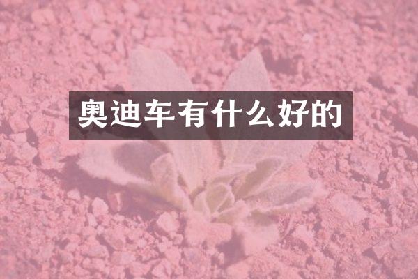 奥迪车有什么好的