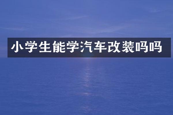 小学生能学汽车改装吗吗