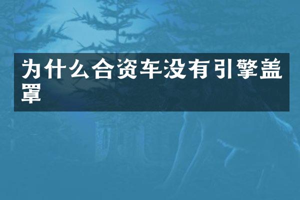 为什么合资车没有引擎盖罩