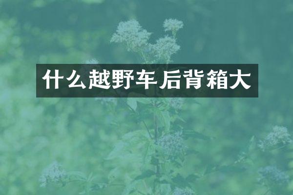 什么越野车后背箱大