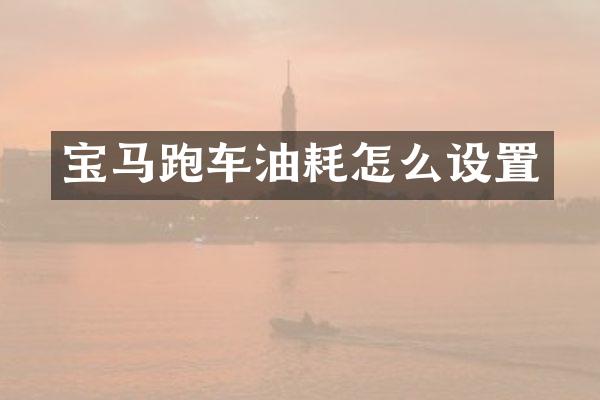 宝马跑车油耗怎么设置