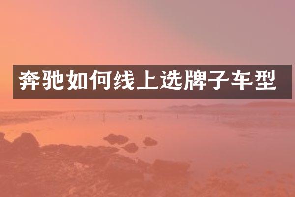 奔驰如何线上选牌子车型