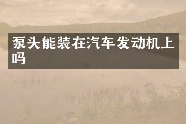 泵头能装在汽车发动机上吗