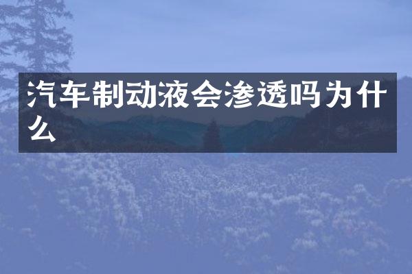 汽车制动液会渗透吗为什么