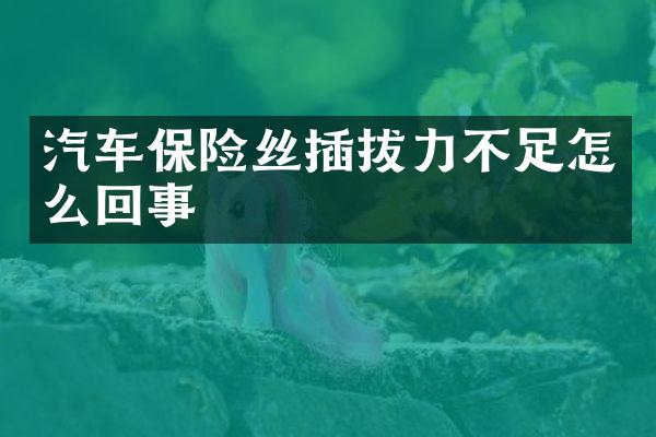 汽车保险丝插拔力不足怎么回事