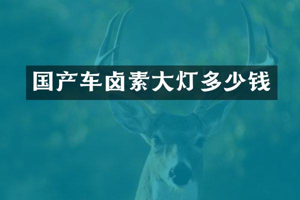 国产车卤素大灯多少钱