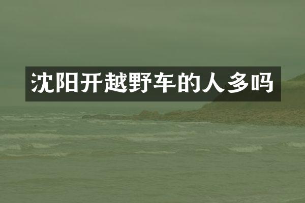 沈阳开越野车的人多吗