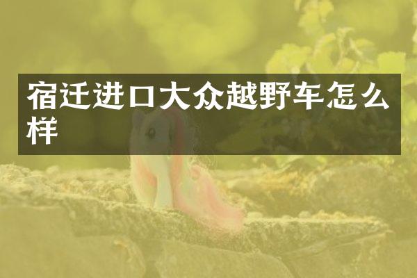 宿迁进口大众越野车怎么样