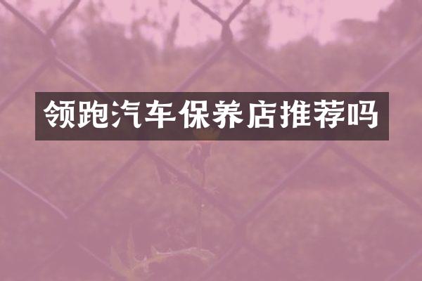 领跑汽车保养店推荐吗
