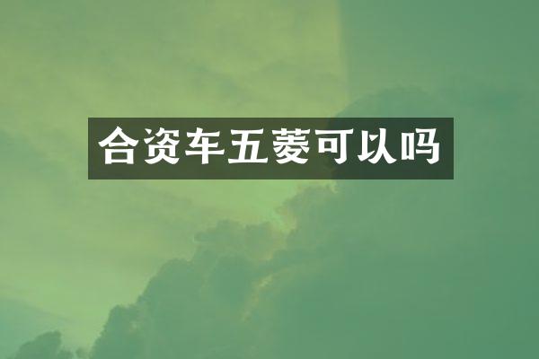 合资车五菱可以吗