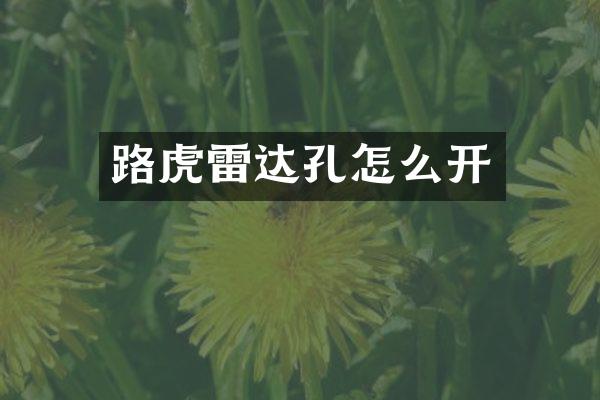 路虎雷达孔怎么开