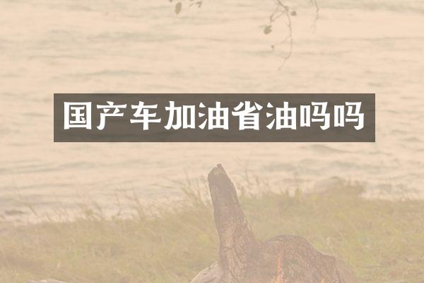 国产车加油省油吗吗