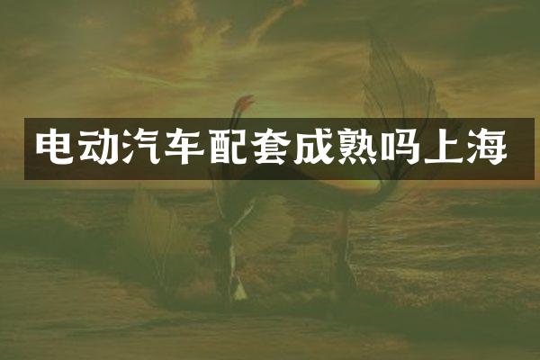 电动汽车配套成熟吗上海