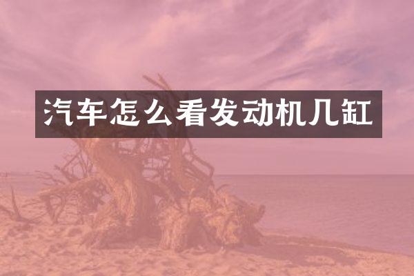 汽车怎么看发动机几缸