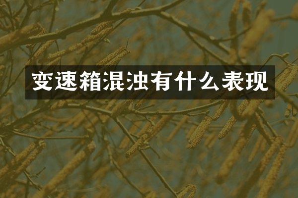 变速箱混浊有什么表现