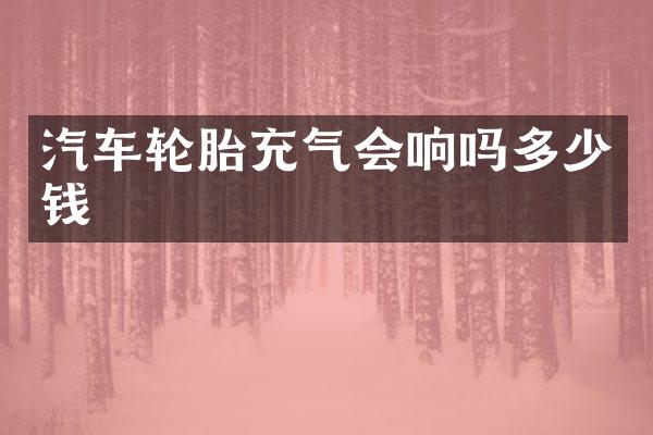 汽车轮胎充气会响吗多少钱