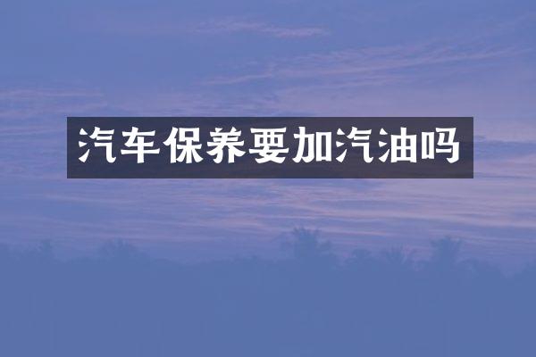 汽车保养要加汽油吗