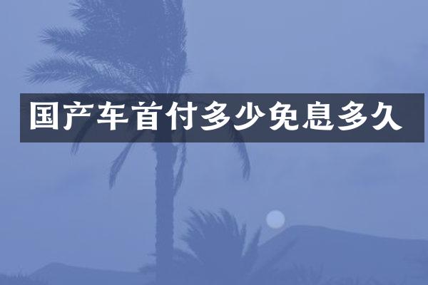 国产车首付多少免息多久