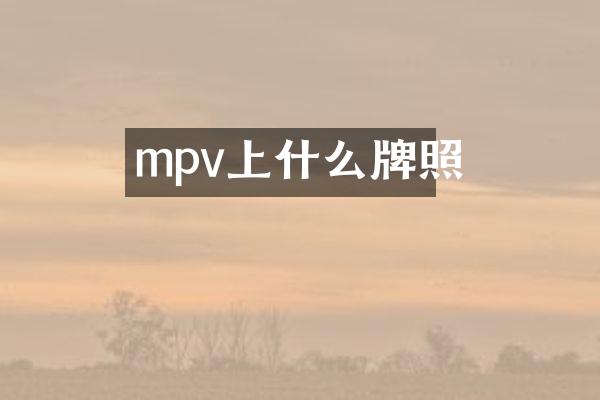 mpv上什么牌照