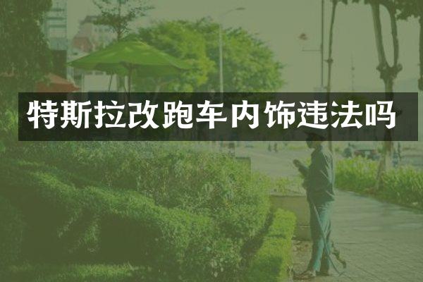 特斯拉改跑车内饰违法吗
