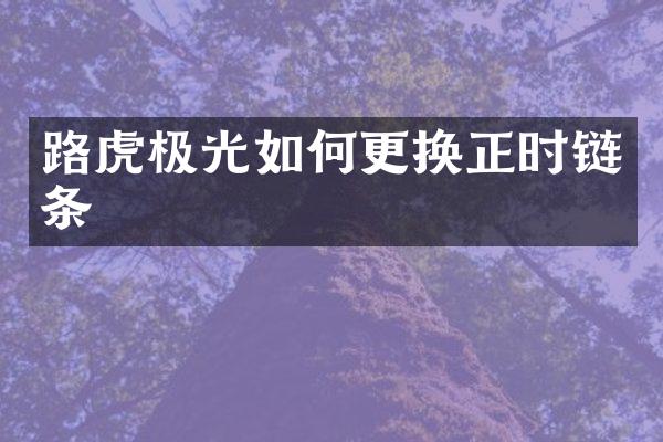 路虎极光如何更换正时链条