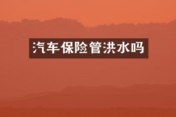 汽车保险管洪水吗