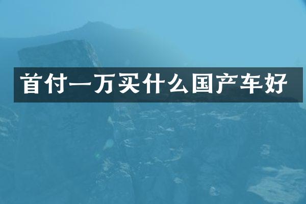 首付一万国产车好