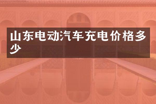 山东电动汽车充电价格多少